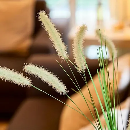 Haus Scharhoern_riff _ 15